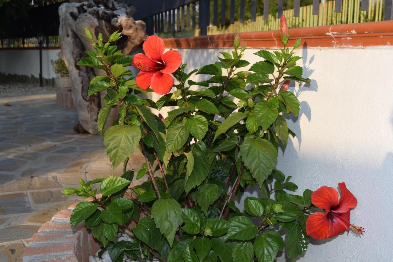 Apartmán La Casa Di Ely Agropoli Exteriér fotografie